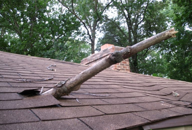 Fix a Roof That was hit by a tree